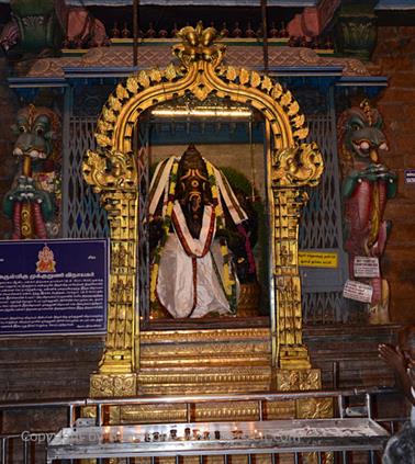 Meenakshi Temple, Madurai,_DSC_8120_H600